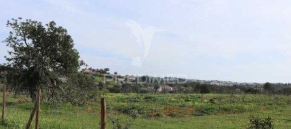 Terrain à Guia, Portugal 15000m² No. 69488 8