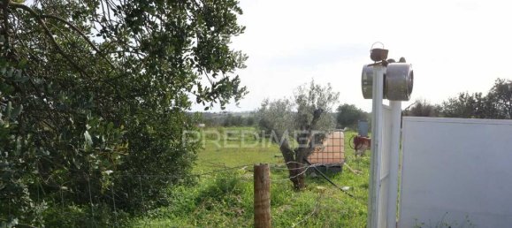 Terrain à Guia, Portugal 15000m² No. 69488 11