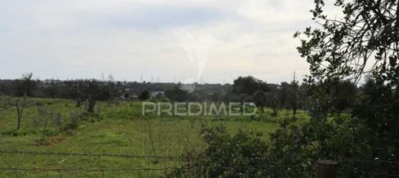 Terrain à Guia, Portugal 15000m² No. 69488 12