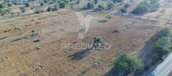 Terrain à Guia, Portugal 15000m² No. 69488 5