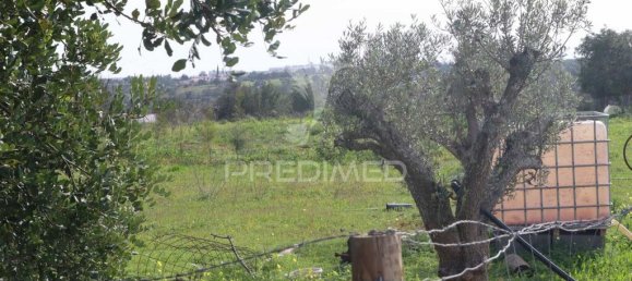 Terrain à Guia, Portugal 15000m² No. 69488 6