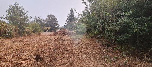 1 bedroom House in Paredes de Coura, Portugal No. 169389 10