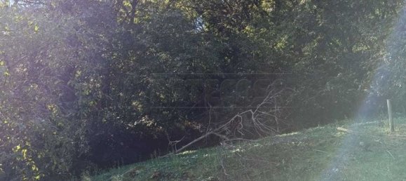 Terreno en Castegnero, Italy 2212 m² No. 288095 10