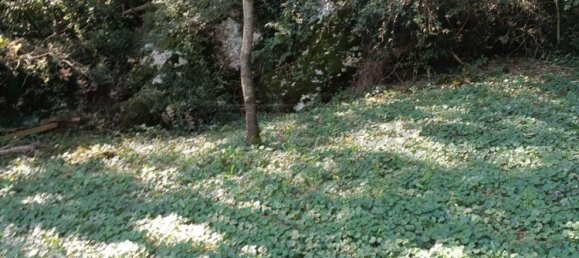 Terreno en Castegnero, Italy 2212 m² No. 288095 12