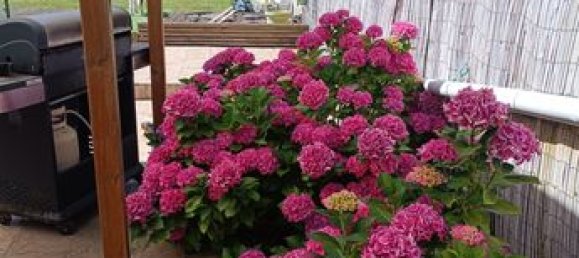 5 Schlafzimmer Haus in Mericourt, France, Nr. 313331 5