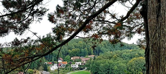 Terrain à Mariatrost, Austria No. 166267 5