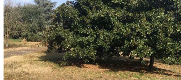 7 rooms Villa in Miradolo Terme, Italy No. 126344 36