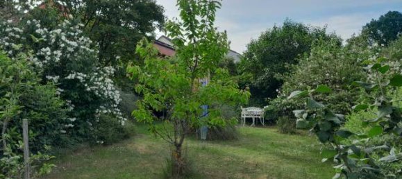 8-Zimmer Bungalow in Saarpfalz, Germany, Nr. 81754 12