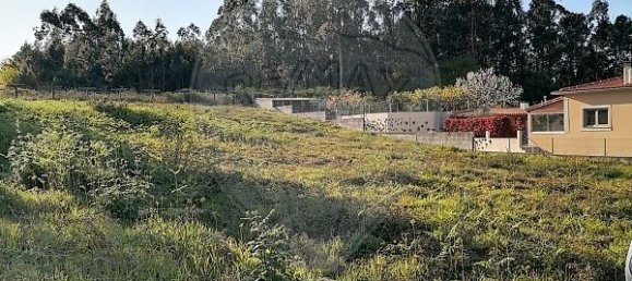1100m² Land in Sao Pedro da Torre, Portugal No. 39913 5