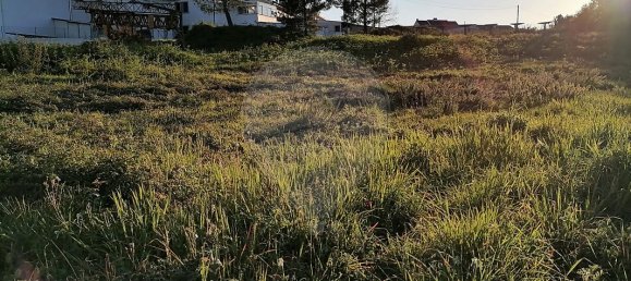 1100m² Land in Sao Pedro da Torre, Portugal No. 39913 4