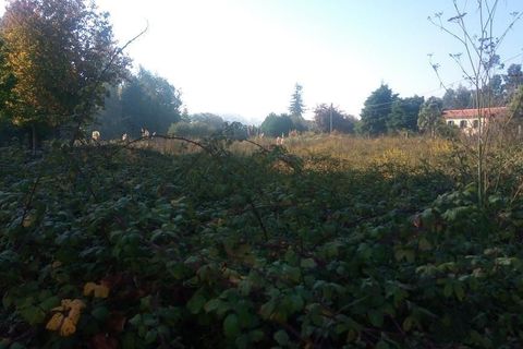 2996m² Land in Moreira, Portugal No. 264116