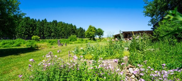 507m² Commercial property in Grafenschlag, Austria No. 205103 29