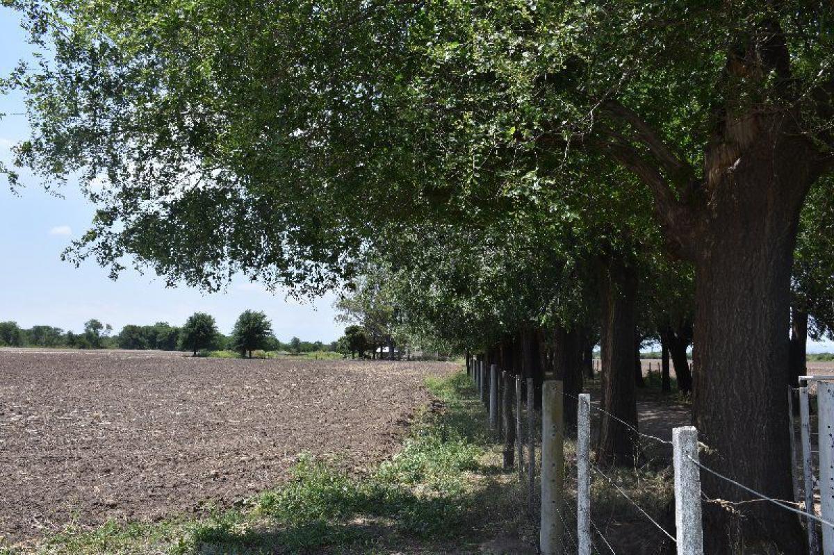 Propriété commerciale à Cordoba, Argentina No. 22304