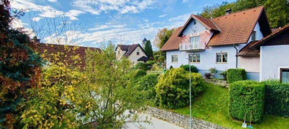7 rooms House in Litschau, Austria No. 92342 32