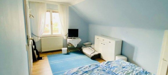 7 rooms House in Litschau, Austria No. 92342 29