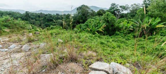 Земельный участок 9600м² в Пляж Сурин, Таиланд № 26028 6