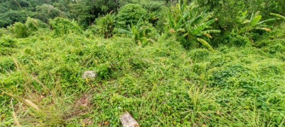 Земельный участок 9600м² в Пляж Сурин, Таиланд № 26028 5