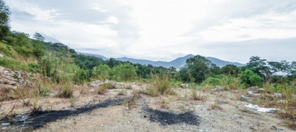 Земельный участок 9600м² в Пляж Сурин, Таиланд № 26028 8