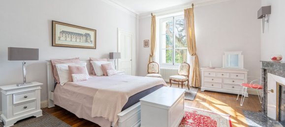  Castillos de 7 dormitorios en Chouze-sur-Loire, France No. 71436 10