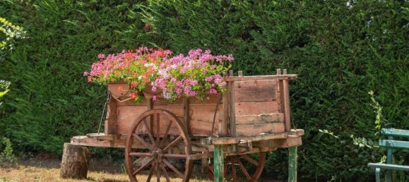 3 chambres Maison à Cortona, Italy No. 54524 37