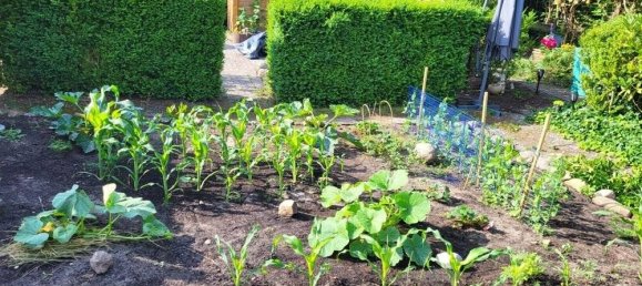 4غرفة شقة في Harburg, Germany رقم 206131 37