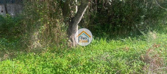 Terreno en Loule, Portugal 1800 m² No. 72266 12