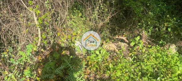 Terreno en Loule, Portugal 1800 m² No. 72266 13