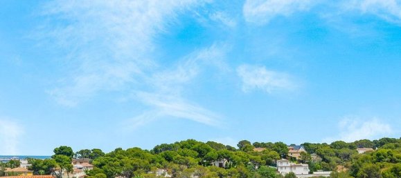 2 bedrooms Bungalow in Torrevieja, Spain No. 178222 28