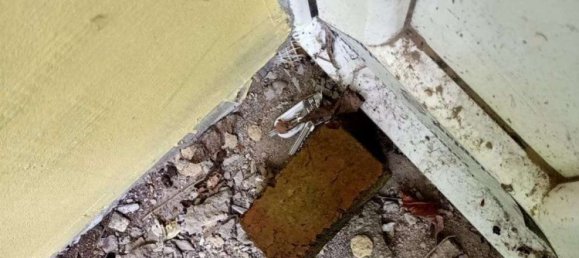 690m² Building in Plauen, Germany No. 21349 16