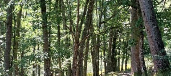 2 bedrooms House in Pilona, Spain No. 179701 24