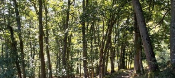 2 bedrooms House in Pilona, Spain No. 179701 23