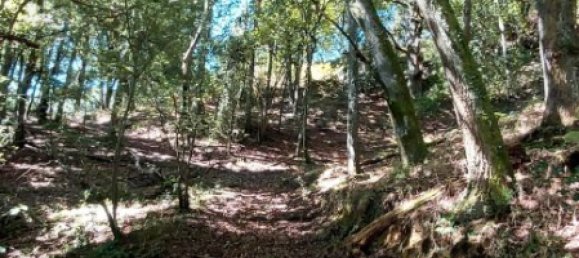 2 bedrooms House in Pilona, Spain No. 179701 27