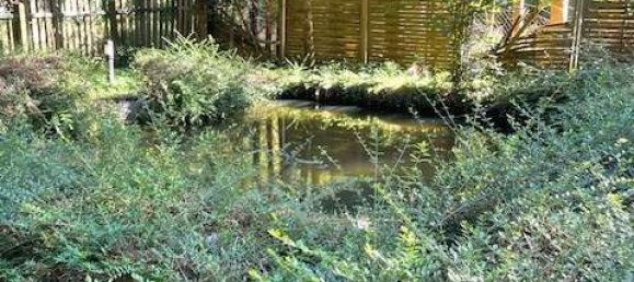 قطعة أرض في Passau, Germany 3910متر مربع رقم 189155 13