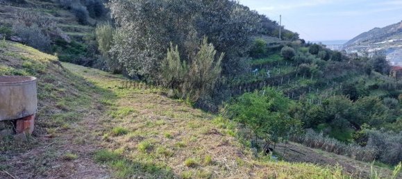 1 chambre Terrain à Soldano, Italy No. 125121 15