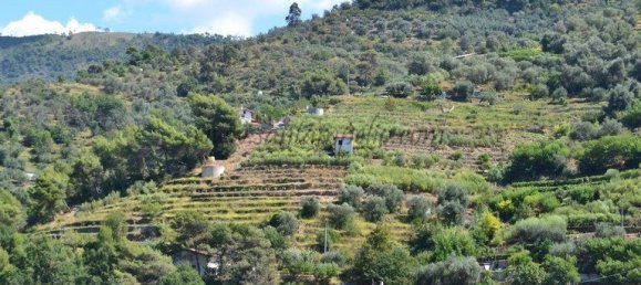 1 chambre Terrain à Soldano, Italy No. 125121 9