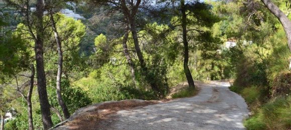 1 chambre Terrain à Soldano, Italy No. 125121 4