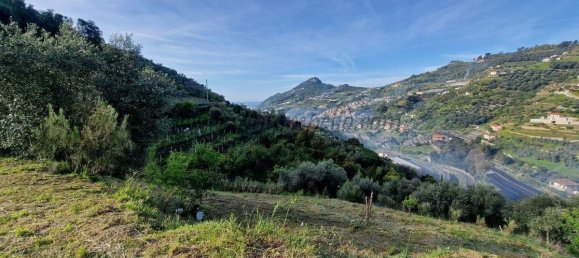 1 chambre Terrain à Soldano, Italy No. 125121 13