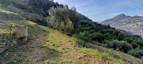 1 chambre Terrain à Soldano, Italy No. 125121 14