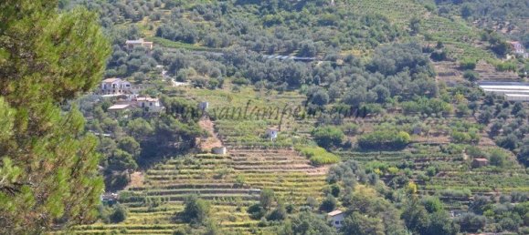 1 chambre Terrain à Soldano, Italy No. 125121 6