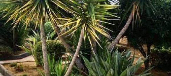 6غرفة فيلا في Canicattì, Italy رقم 172095 7