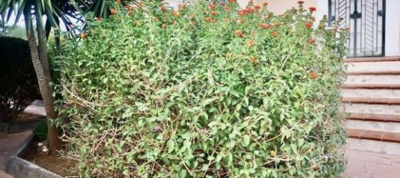 6غرفة فيلا في Canicattì, Italy رقم 172095 5