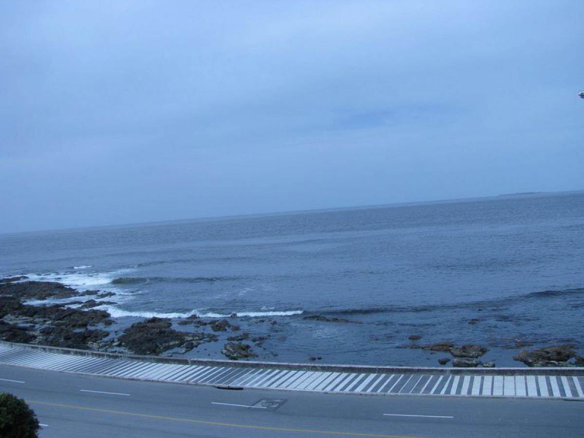 Квартира с 3 спальнями в Мальдонадо, Уругвай № 9063