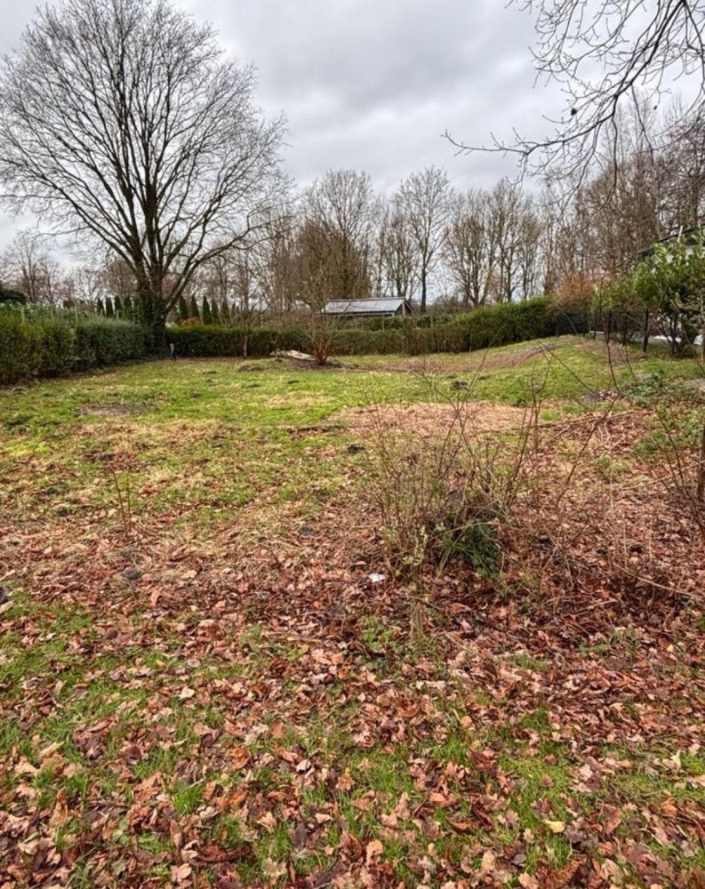 Terrain à Aurich, Germany No. 229699