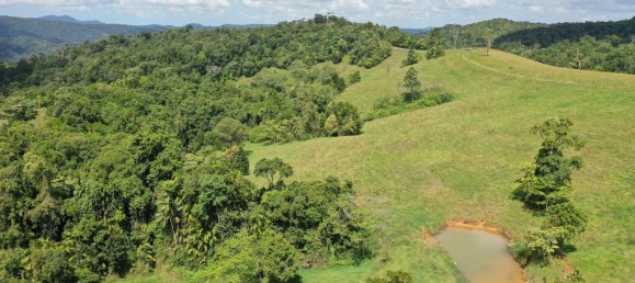 4 Schlafzimmer Bauernhof in Millaa Millaa, Australia, Nr. 1071 18