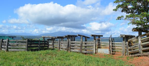 4 Schlafzimmer Bauernhof in Millaa Millaa, Australia, Nr. 1071 15