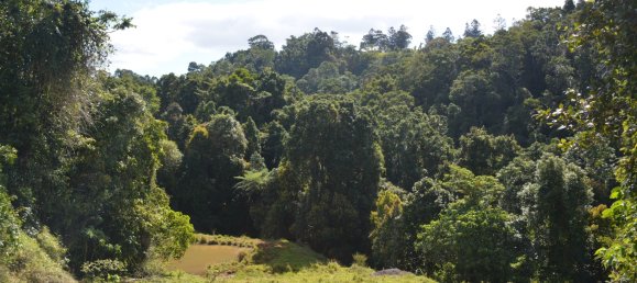 4 Schlafzimmer Bauernhof in Millaa Millaa, Australia, Nr. 1071 12