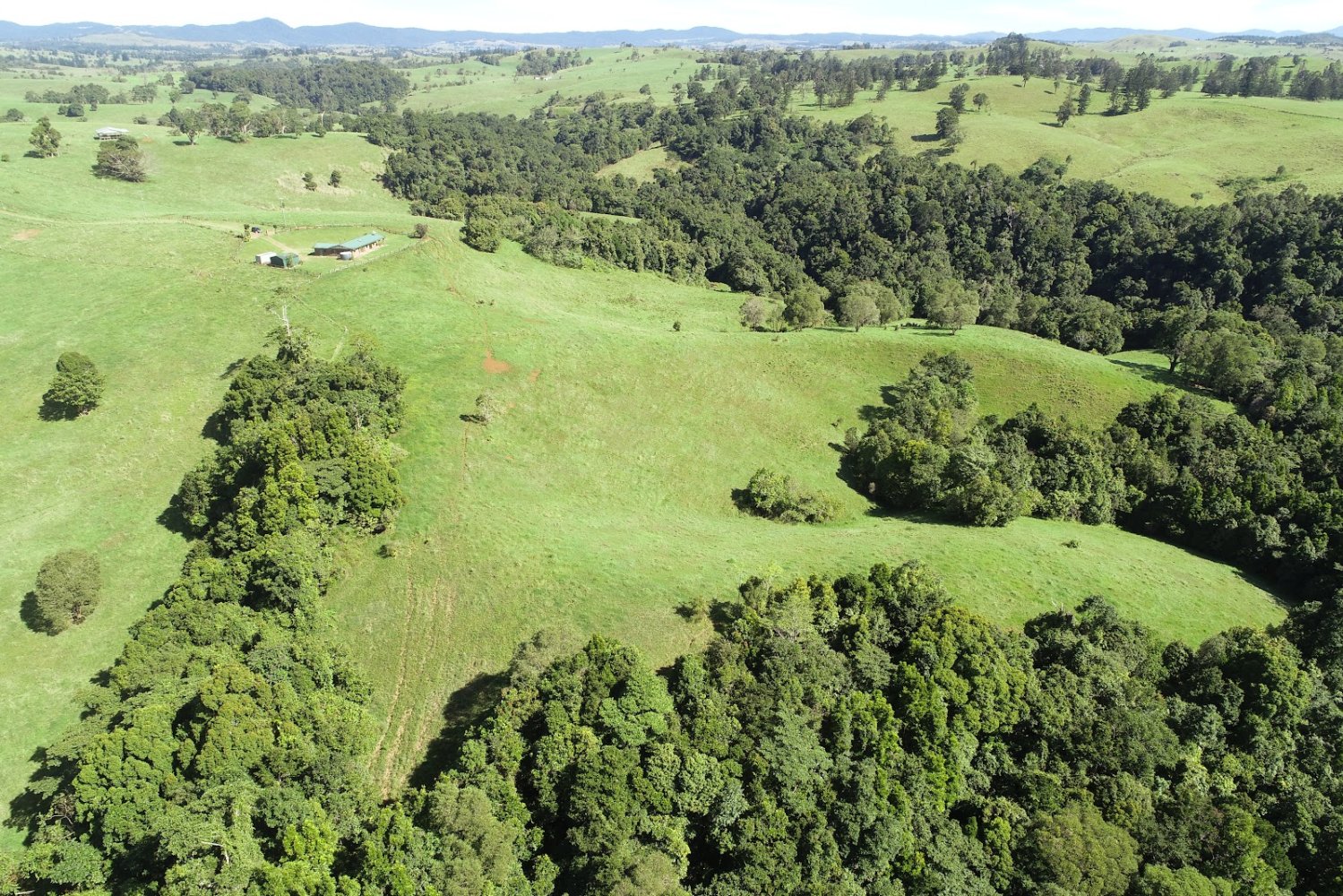 4 Schlafzimmer Bauernhof in Millaa Millaa, Australia, Nr. 1071