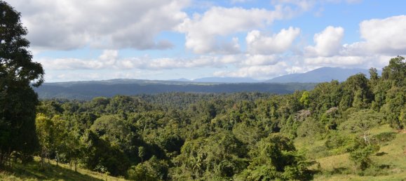 4 Schlafzimmer Bauernhof in Millaa Millaa, Australia, Nr. 1071 14