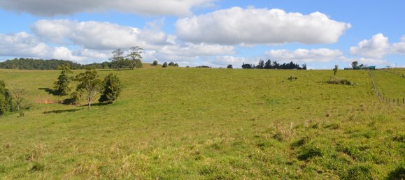 4 Schlafzimmer Bauernhof in Millaa Millaa, Australia, Nr. 1071 8