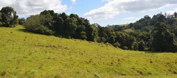 4 Schlafzimmer Bauernhof in Millaa Millaa, Australia, Nr. 1071 10